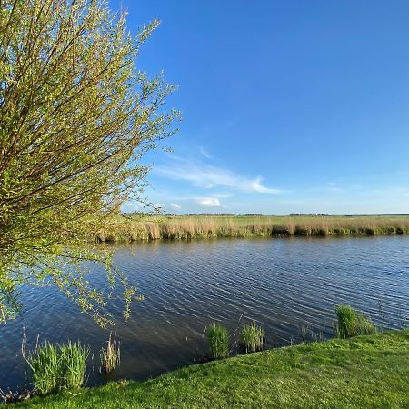 Stay-Inn Harlingen Bagian luar foto